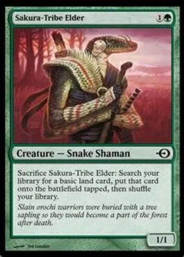 Sakura-Tribe Elder