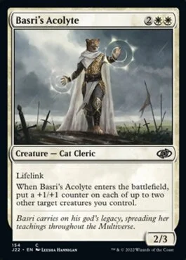 Basri's Acolyte