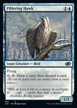 Pilfering Hawk