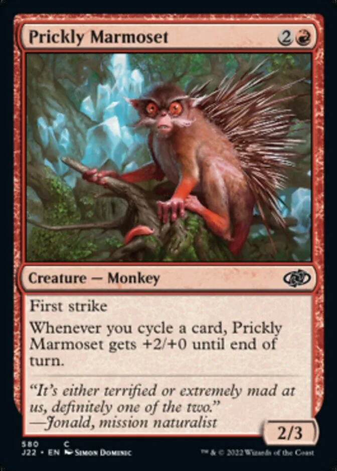 Prickly Marmoset [J22]