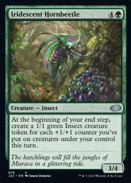 Iridescent Hornbeetle