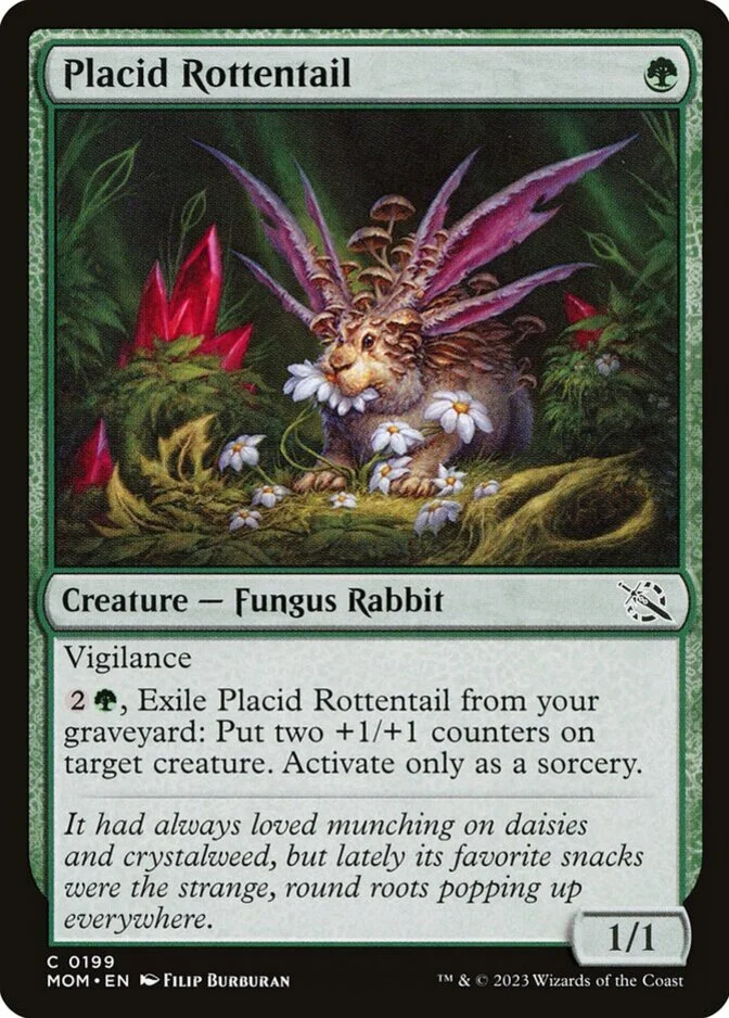 Placid Rottentail [MOM]
