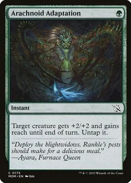 Arachnoid Adaptation