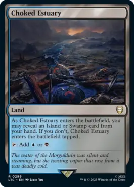 Choked Estuary