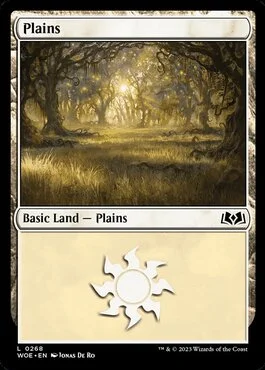 Plains