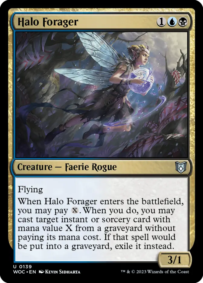 Halo Forager [WOC]
