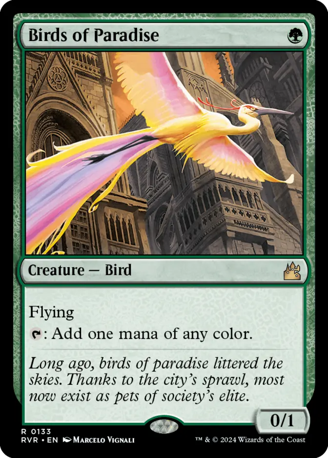 Birds of Paradise [RVR]