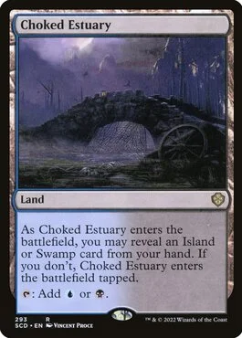 Choked Estuary