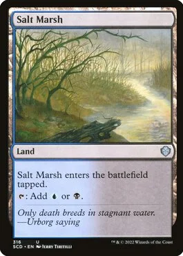 Salt Marsh