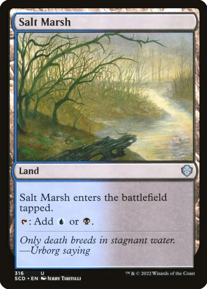 Salt Marsh [SCD]