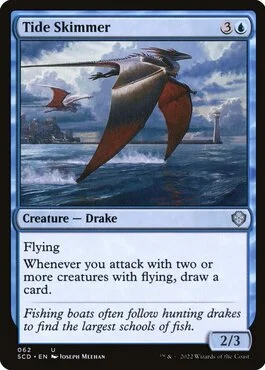Tide Skimmer