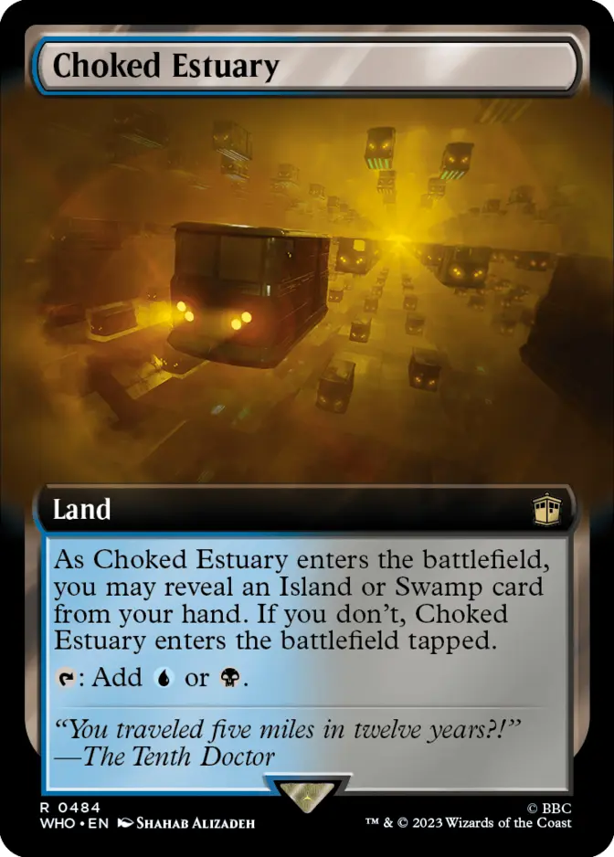 Choked Estuary <extended> [WHO] (F)