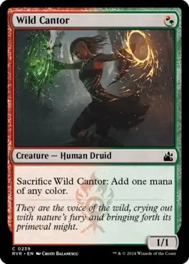 Wild Cantor