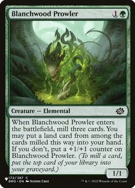 Blanchwood Prowler