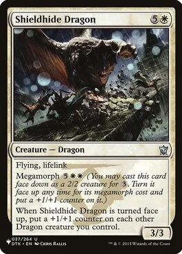 Shieldhide Dragon