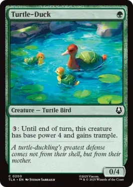 Turtle-Duck