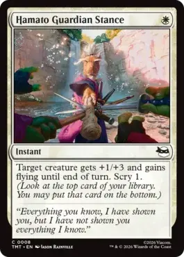 Hamato Guardian Stance
