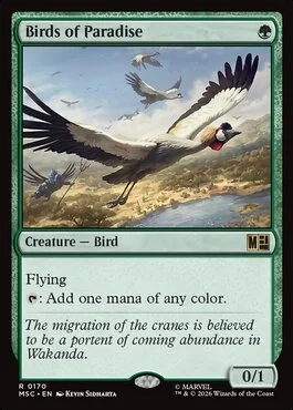 Birds of Paradise