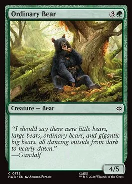 Ordinary Bear